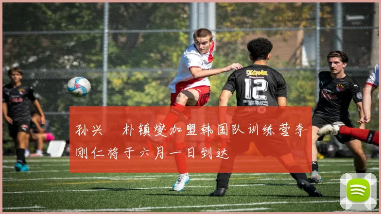 孙兴慜朴镇燮加盟韩国队训练营李刚仁将于六月一日到达